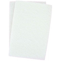 Tampon récurant blanc