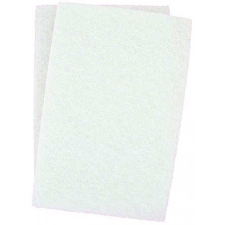Tampon récurant blanc